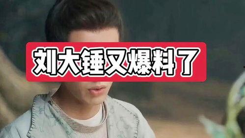 刘大锤爆料网红视频在线观看,网红视频幕后真相，在线观看带你一探究竟